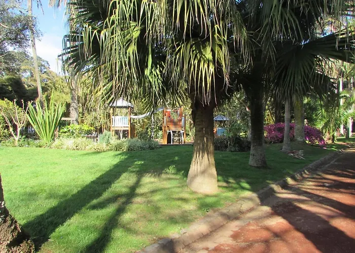 Cozy * Πόντα Ντελγκάντα