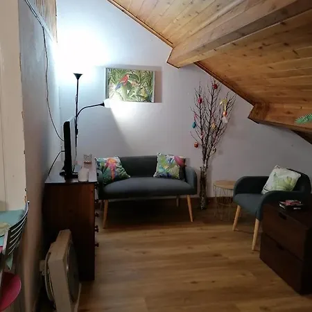 Cozy Central * Ponta Delgada (Sao Miguel)