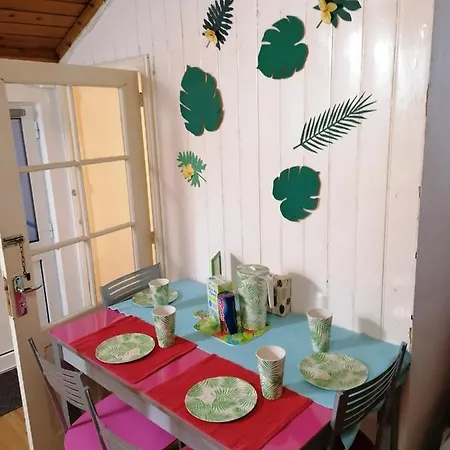 Apartment Cozy Central Ponta Delgada (Sao Miguel)