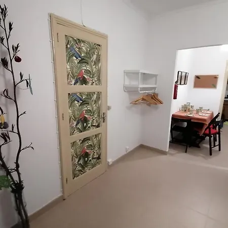 Apartamento Cozy Ponta Delgada