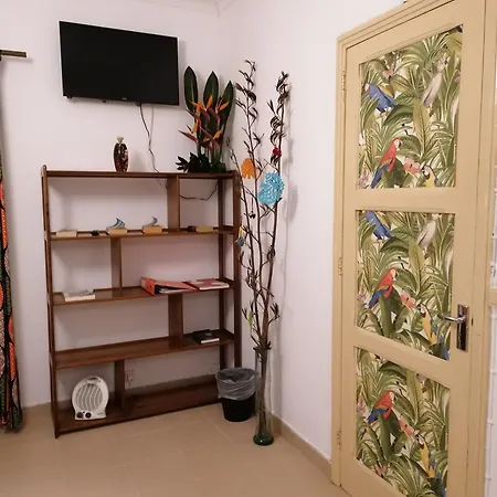Apartamento Cozy Ponta Delgada
