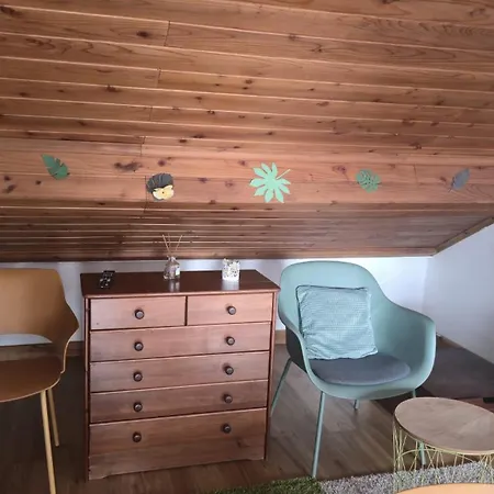 Cozy Apartamento