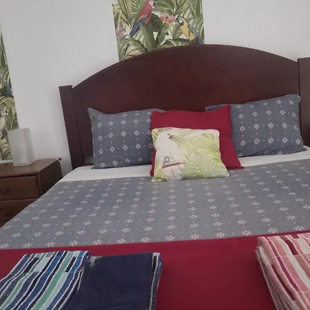Apartamento Cozy Ponta Delgada