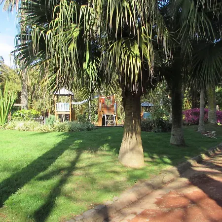 Cozy * Ponta Delgada